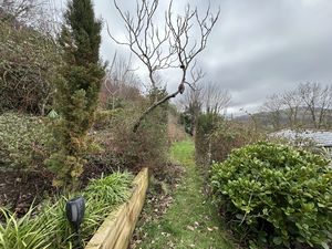 Photo 42- click for photo gallery